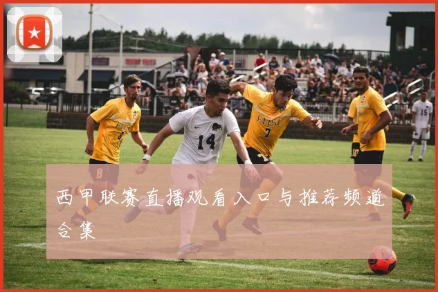 西甲联赛直播观看入口与推荐频道合集