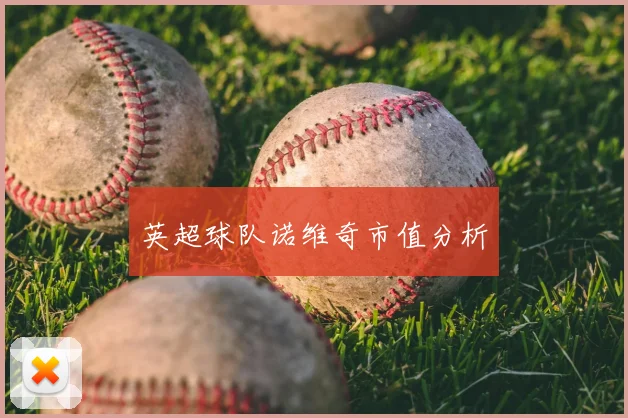 英超球队诺维奇市值分析