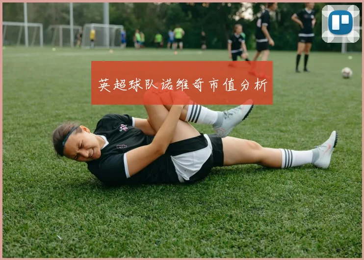 英超球队诺维奇市值分析