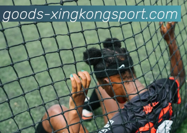 星空体育服务体系